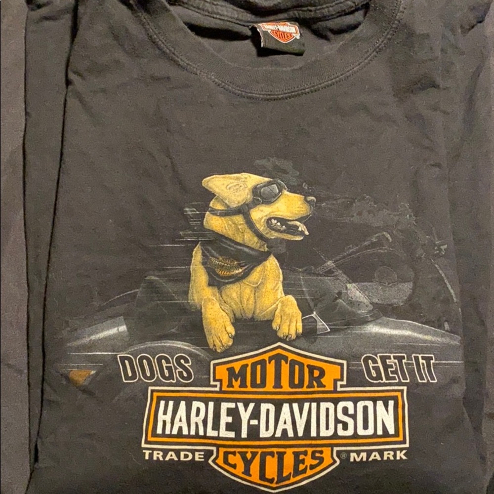 Harley Davidson Shirt